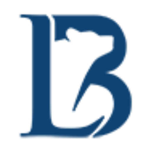 About Us - Bear Legal Solutions | Bear Legal Solutions Primary Icon